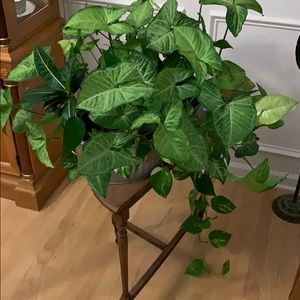 Meet your Posher, Robin